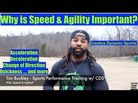 What Sports Need Agility?